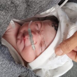 Help for Baby Warda & Family in Gaza - – Sadik-O