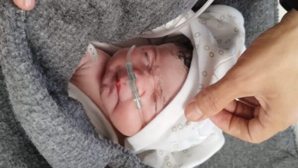 Help for Baby Warda & Family in Gaza - – Sadik-O