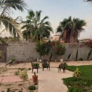 https://sadik-o.com - refugees and asylum seeekers - Help Moamen and his family in Gaza