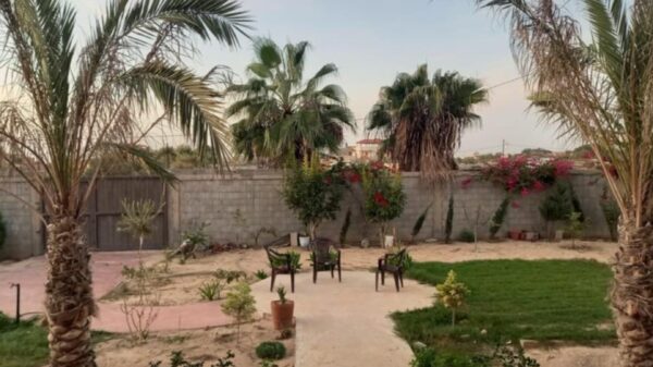 https://sadik-o.com - refugees and asylum seeekers - Help Moamen and his family in Gaza