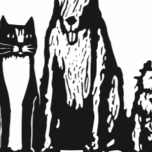 Help Build a Sanctuary