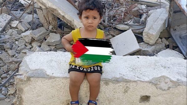 https://sadik-o.com - refugees and asylum seeekers - A Mother’s Plea from Gaza: Help Hadeel’s Family Survive