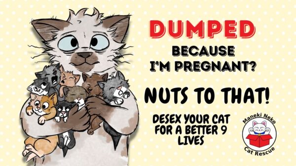 Nuts to That!      Cat Desexing Program