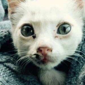 It's from Street Life to Sweet Life for Blanche