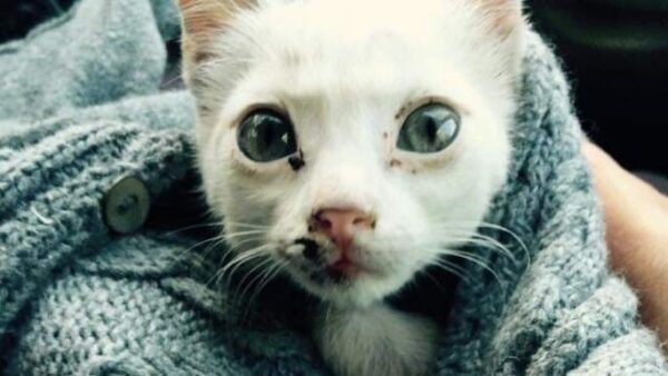 It's from Street Life to Sweet Life for Blanche