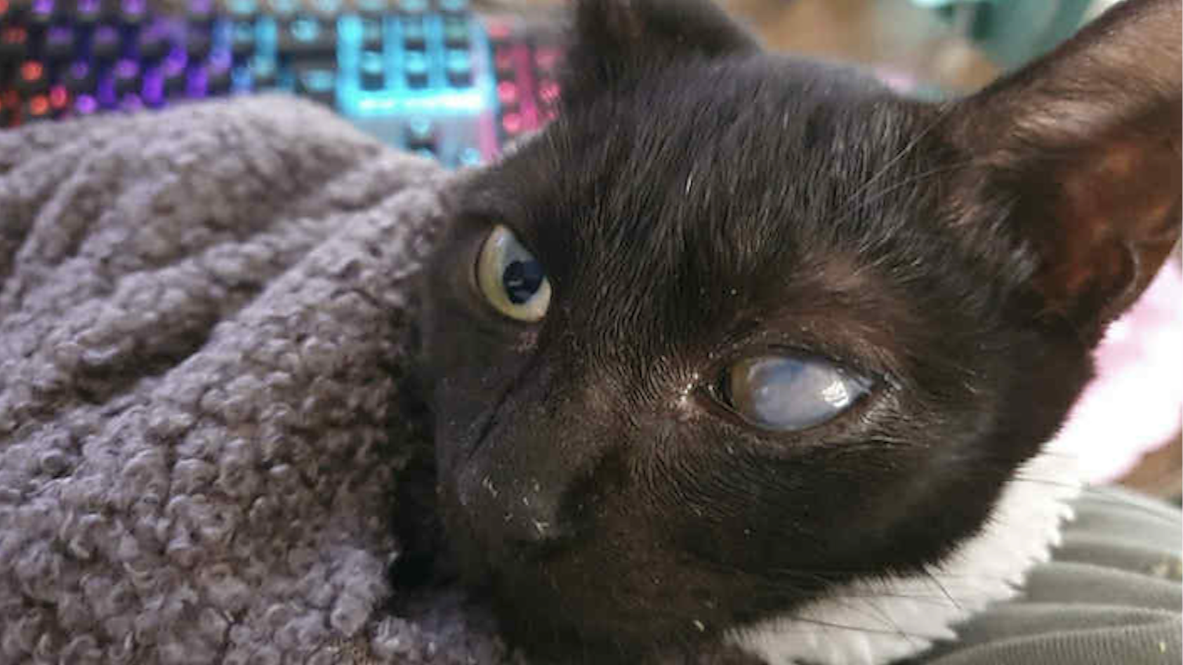 URGENT APPEAL Help us stay open