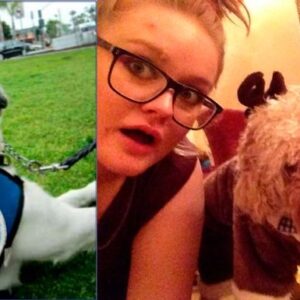 Help bring trained psychiatric assistance dogs to the UK - – Sadik-O