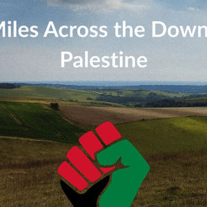 25 Miles Across the Downs for Palestine - – Sadik-O