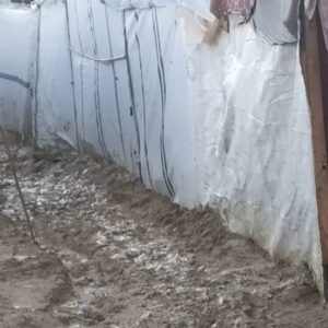 Help Ibrahim Hamdan And His Family Get Out Of The Gaza Strip - – Sadik-O