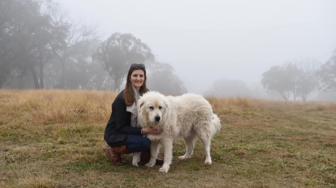 URGENT WINTER APPEAL