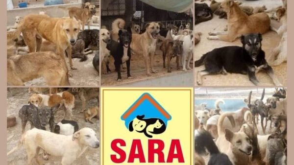 SARA NEEDS YOUR HELP