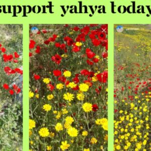 https://sadik-o.com - refugees and asylum seeekers - Help Yahya & his family survive