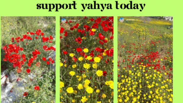 https://sadik-o.com - refugees and asylum seeekers - Help Yahya & his family survive