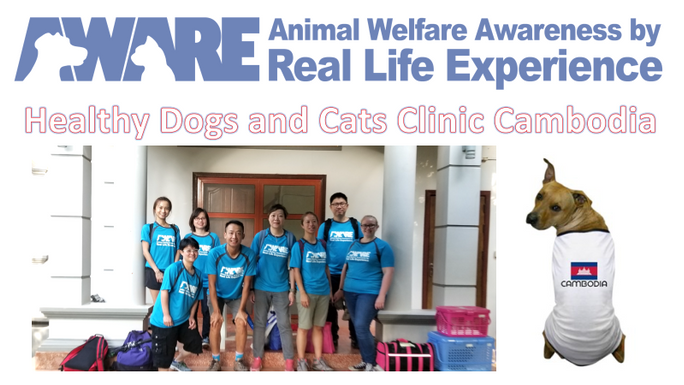 AWARE Healthy Dogs and Cats Clinic (Phnom Penh, Cambodia)
