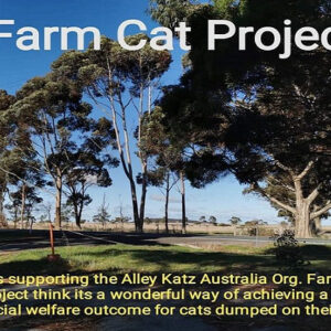FARM CAT RECOVERY PROJECT