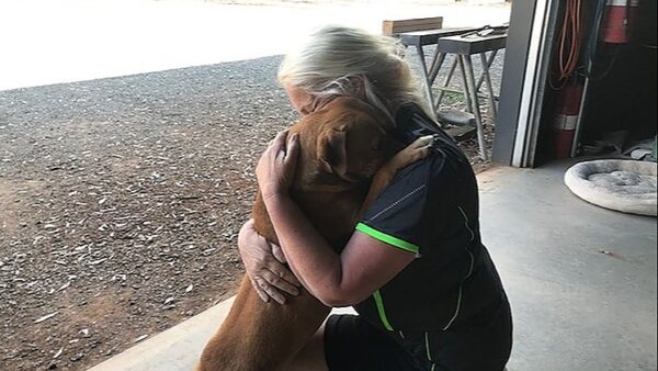 I am being sued for defamation by a commercial dog breeder