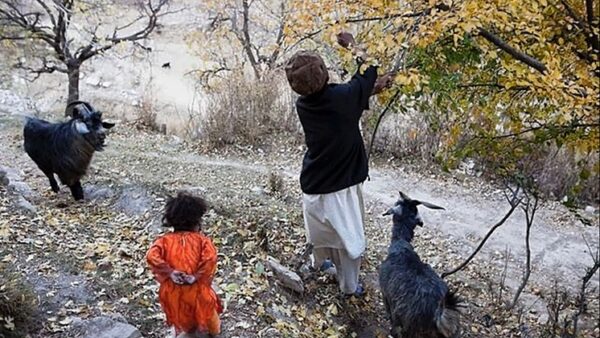 Urgent need for Afghan families who lost their sole provider - – Sadik-O