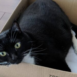 A Second Chance for Jayne: Help Cover Her Life-Saving Medical Bills