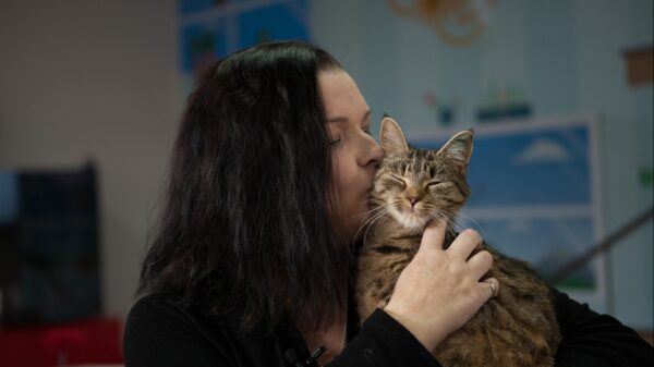 Companion Animal Crisis Centre