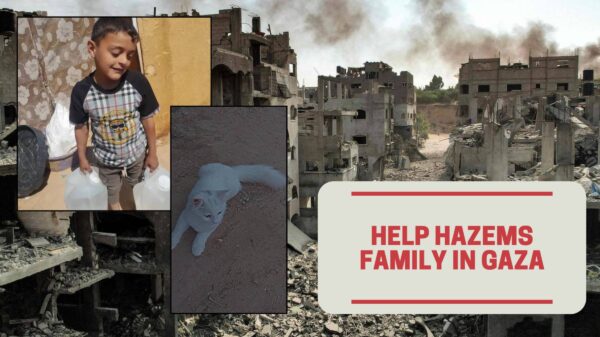 https://sadik-o.com - refugees and asylum seeekers - Help Hazems Family in Gaza