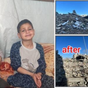 https://sadik-o.com - refugees and asylum seeekers - Help Mohammed's family survive