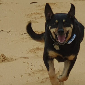 Help Sally get her smile back