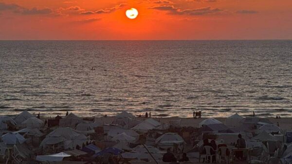 https://sadik-o.com - refugees and asylum seeekers - Ayuda urgente para Ansam en Gaza - Support for Ansam in Gaza