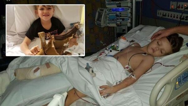 Help us get Jett back on his feet - – Sadik-O