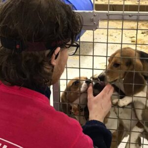 Help Us Put Animal Testing On Trial: Free the MBR Beagles