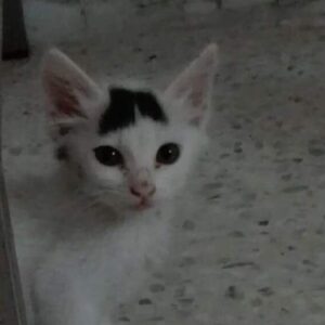 Little Liam - on his way to HAPPINESS