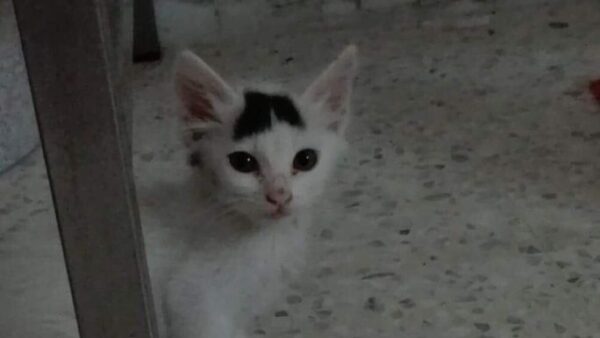 Little Liam - on his way to HAPPINESS