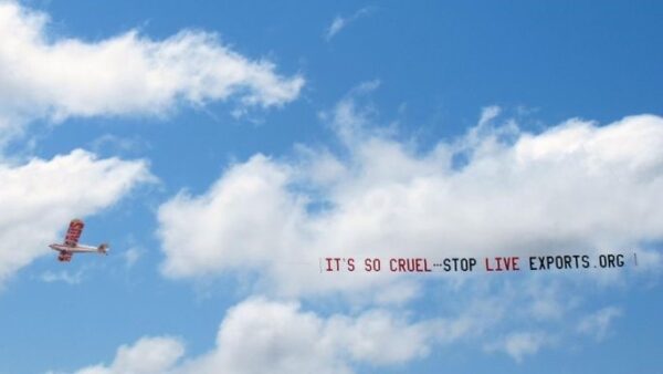 Stop Live Exports Aerial Banner