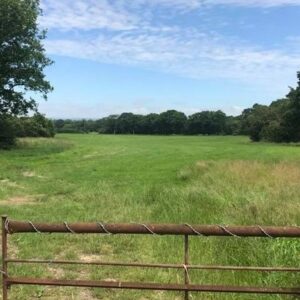 Rescued animals need more room, please help.