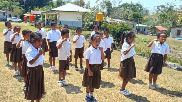 Dental project for the children of Soibada - – Sadik-O