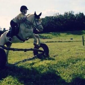 Horse Rescue & Sanctuary in Tennessee Needs Your Help!