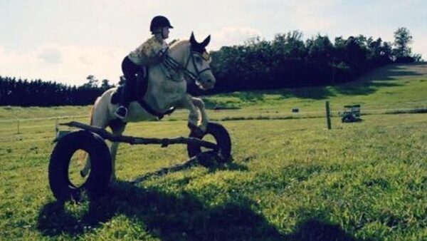 Horse Rescue & Sanctuary in Tennessee Needs Your Help!