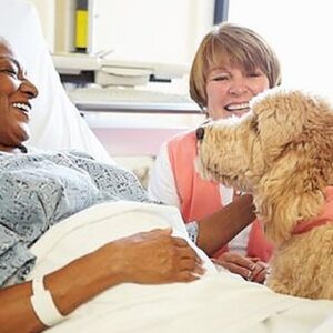 Dog therapy for children - – Sadik-O