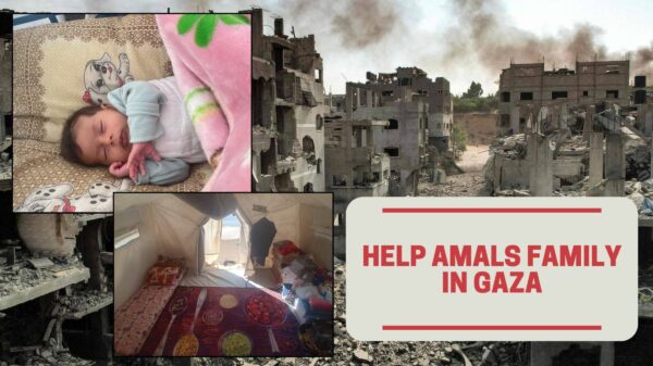 https://sadik-o.com - refugees and asylum seeekers - Help Amals Family in Gaza