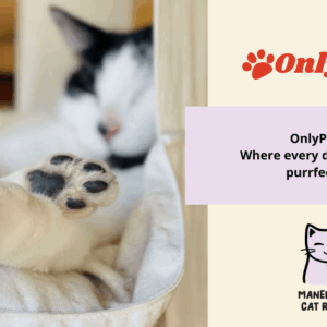 OnlyPeets – A Toe-tally Pawsome Fundraiser for Maneki Neko Cat Rescue!