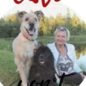 Help to build home for rescued animals.