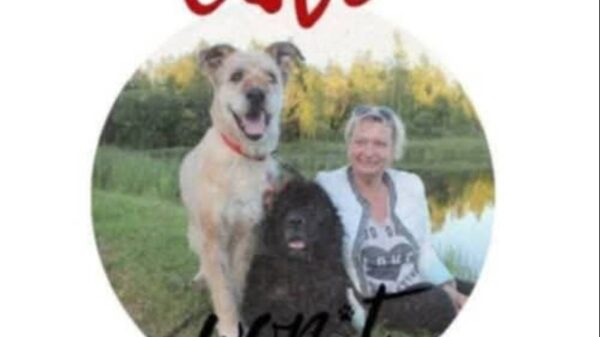 Help to build home for rescued animals.