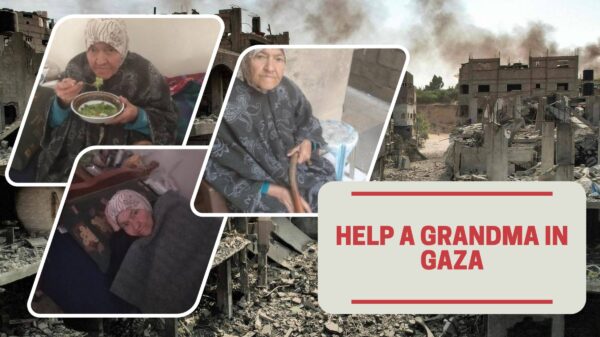 https://sadik-o.com - refugees and asylum seeekers - Help a Grandma in Gaza