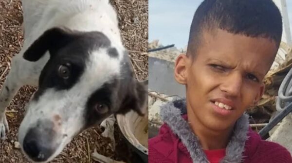 https://sadik-o.com - refugees and asylum seeekers - Medication for Ahmed and Food for Gaza's Homeless Animals