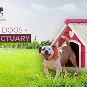 Pozega Dog Sanctuary