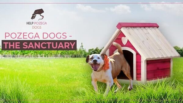 Pozega Dog Sanctuary
