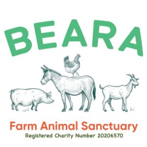 Please help us care for the animals at our farm animal sanctuary