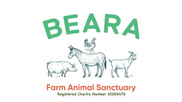 Please help us care for the animals at our farm animal sanctuary