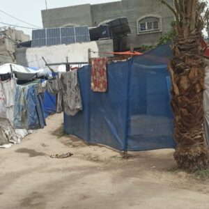 Shelter