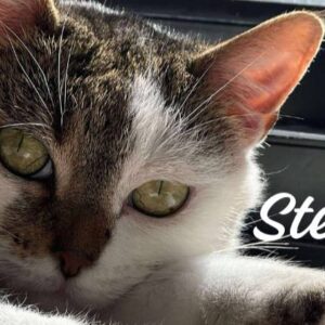 Help Stefani to feel comfortable in her own skin