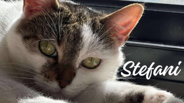 Help Stefani to feel comfortable in her own skin